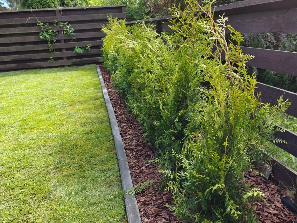 WhatsApp Image 2026-03-14 at 16.20.20 (7)